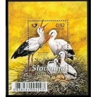 Slovenia 2011 - Păsări, berze, colita neuzata