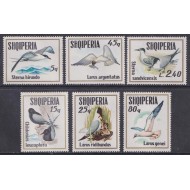 Albania 1973 - Păsări de mare, serie neuzata