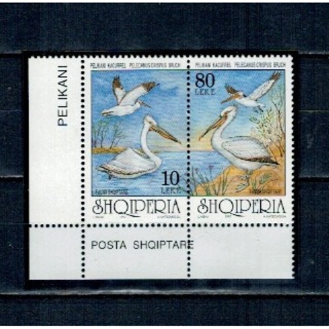 Albania 1997 - Păsări, pelicani, serie neuzata