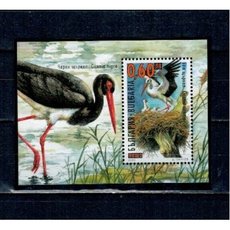 Bulgaria 2000 - Berze, păsări, colita neuzata