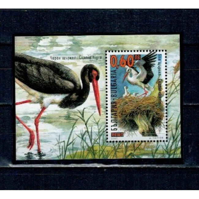 Bulgaria 2000 - Berze, păsări, colita neuzata