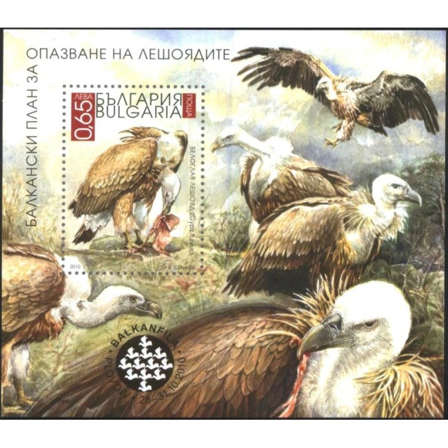 Bulgaria 2010 - Balkanfila, păsări, vulturi, colita nedantelata neuzata