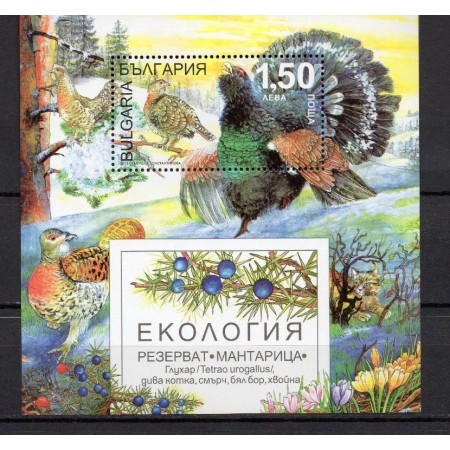 Bulgaria 2013 - Fauna din rezervații, păsări, animale, colita neuzata