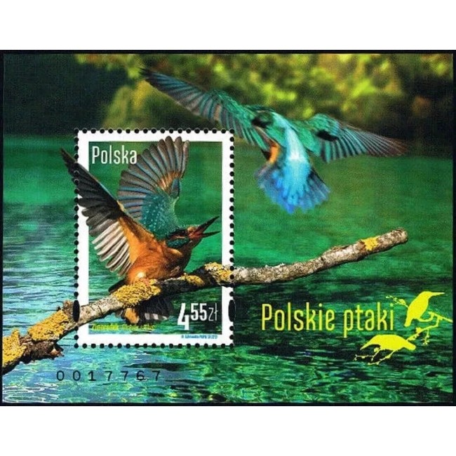 Polonia 2013 - Păsări, colita neuzata