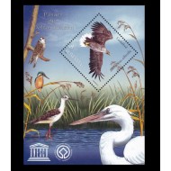 2009 - Păsări din Delta Dunării, colita neuzata