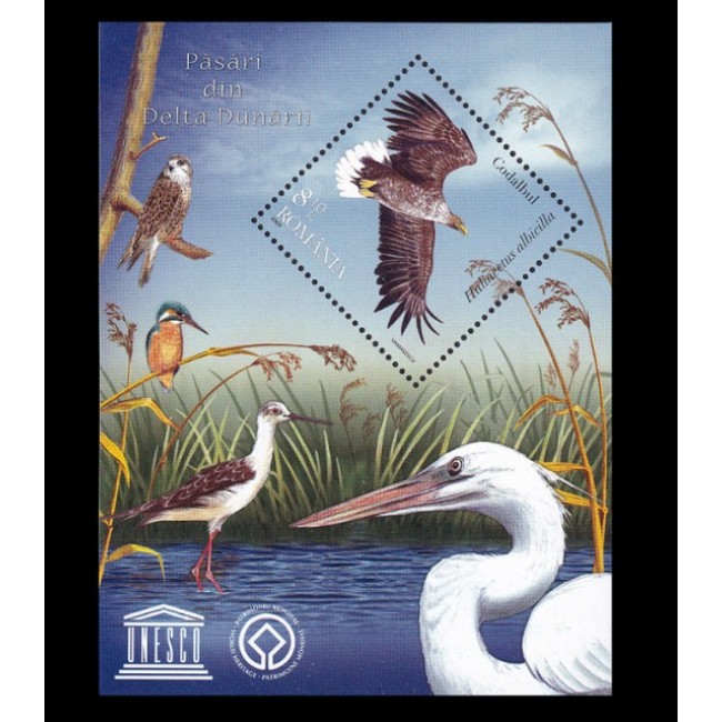 2009 - Păsări din Delta Dunării, colita neuzata