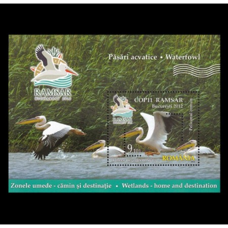 2012 - Păsări acvatice, colita neuzata