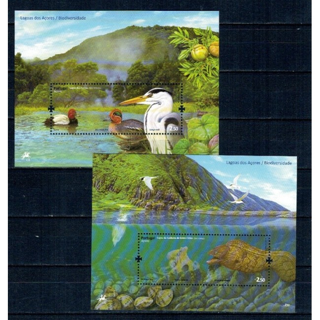 Portugal Azores 2009 - Fauna-flora din lagune, animale, colite neuzate