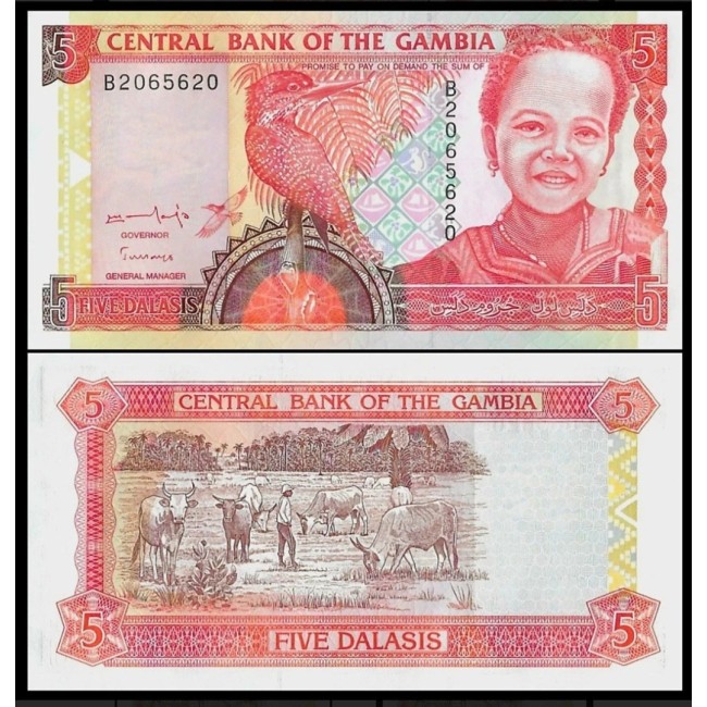 Gambia 1996 - 5 dalasis UNC