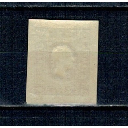 Austria 1894 - Marca pentru ziare, Mi.No.17ND neuzat