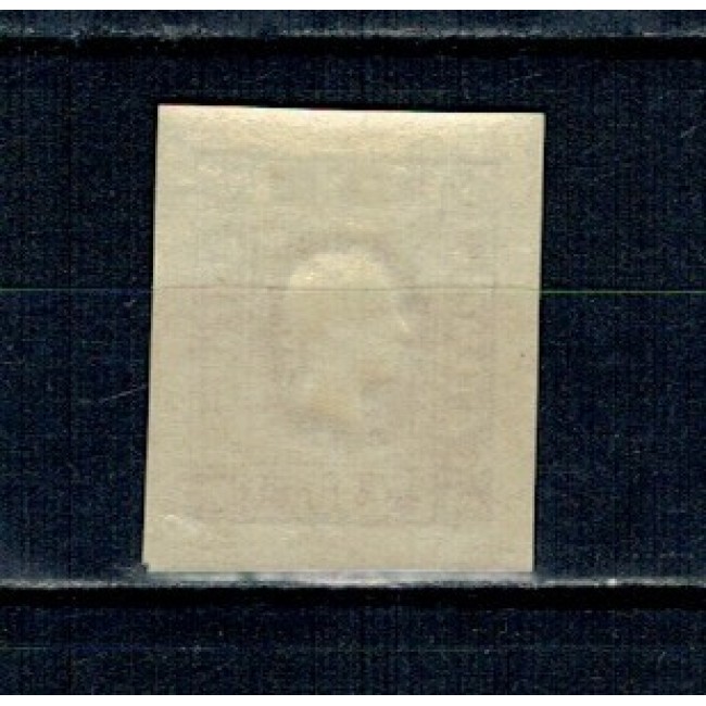 Austria 1894 - Marca pentru ziare, Mi.No.17ND neuzat