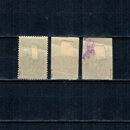 Austria 1920 - Radkersburg, supratipar, emisiune locala, lot 3 mărci, rare