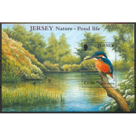 Jersey 2001 - Păsări de apa, colita neuzata