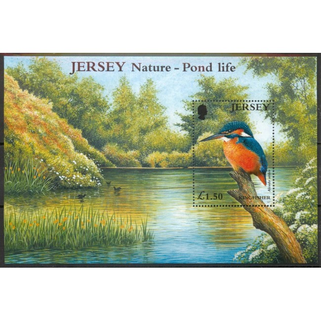 Jersey 2001 - Păsări de apa, colita neuzata