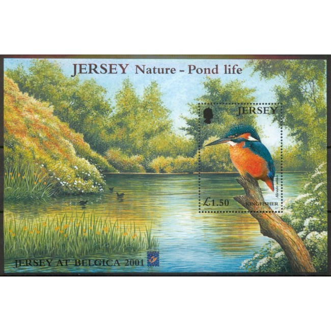Jersey 2001 - Păsări de apa, Belgica, colita neuzata