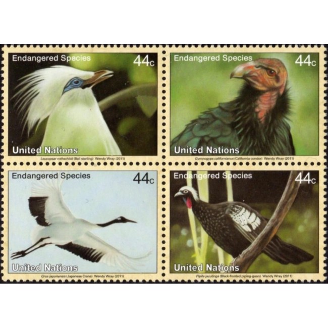 ONU New York 2011 - Păsări, fauna, serie neuzata
