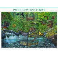 SUA 2000 - Fauna, animale, coala timbre autocolant, neuzate