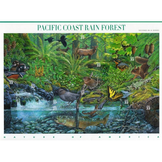 SUA 2000 - Fauna, animale, coala timbre autocolant, neuzate