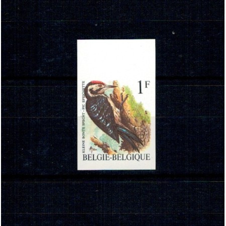 Belgia 1990 - Păsări, ciocănitoarea, nedantelata, nestampilata, tiraj mic