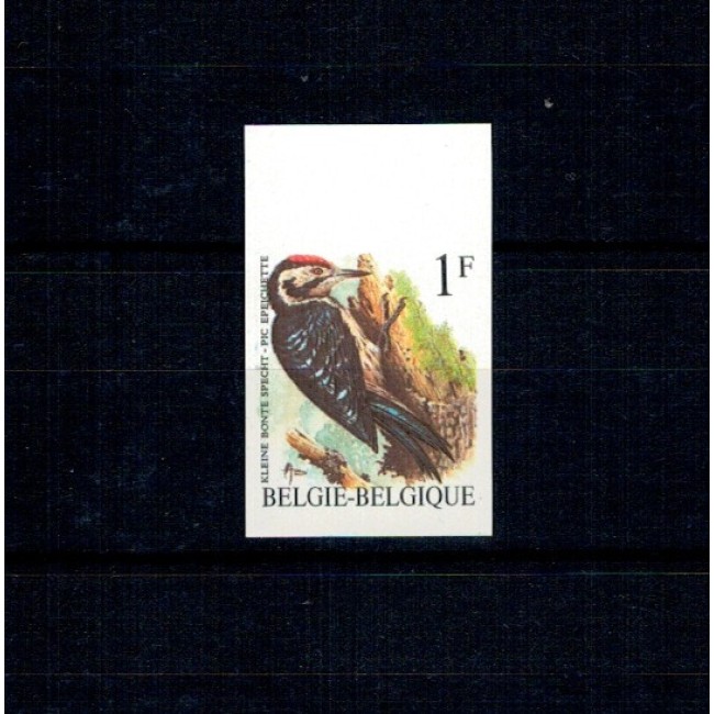 Belgia 1990 - Păsări, ciocănitoarea, nedantelata, nestampilata