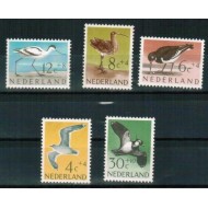Olanda 1961 - Păsări, fauna, serie neuzata