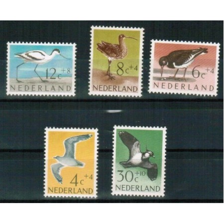 Olanda 1961 - Păsări, fauna, serie neuzata