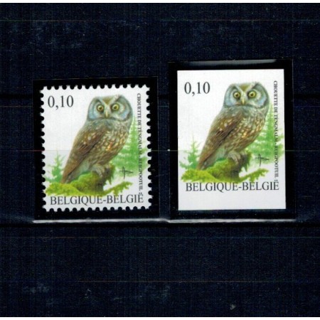 Belgia 2007 - Bufnita, Mi.No.3674 neuzat, dantelat si nedantelat, tiraj mic