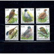 Belgia 2005 - Păsări, serie neuzata