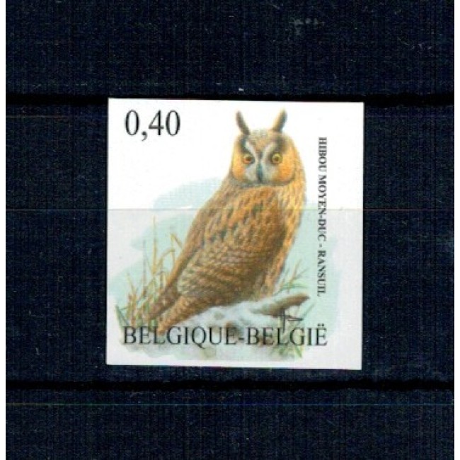 Belgia 2007 - Pasari, bufnita, Mi.No.3784 nedantelat, neștampilat, tiraj mic