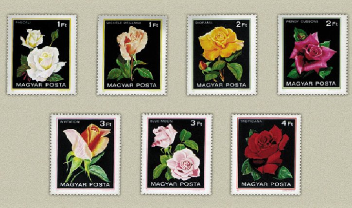 Ungaria 1982 - trandafiri, serie neuzata