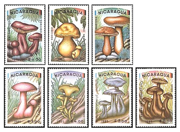 Nicaragua 1985 - ciuperci, serie neuzata