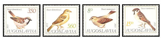 Iugoslavia 1982 - Pasari, fauna, serie neuzata