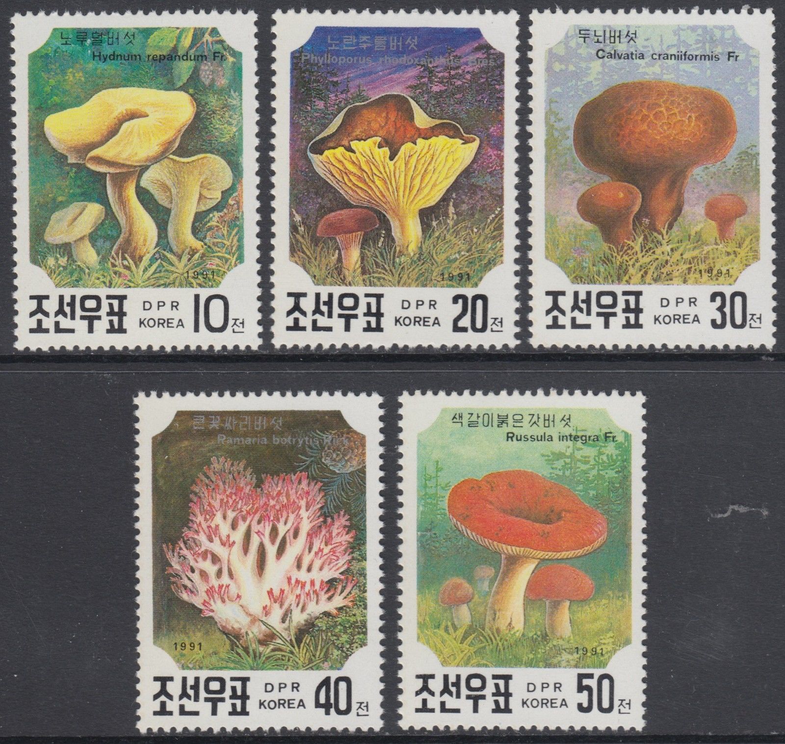 DPR Korea 1991 - ciuperci, serie neuzata