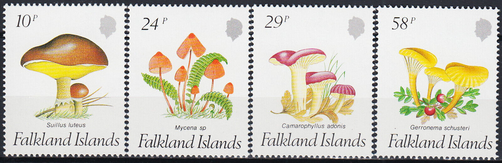 Falkland Islands 1987 - Ciuperci, serie neuzata