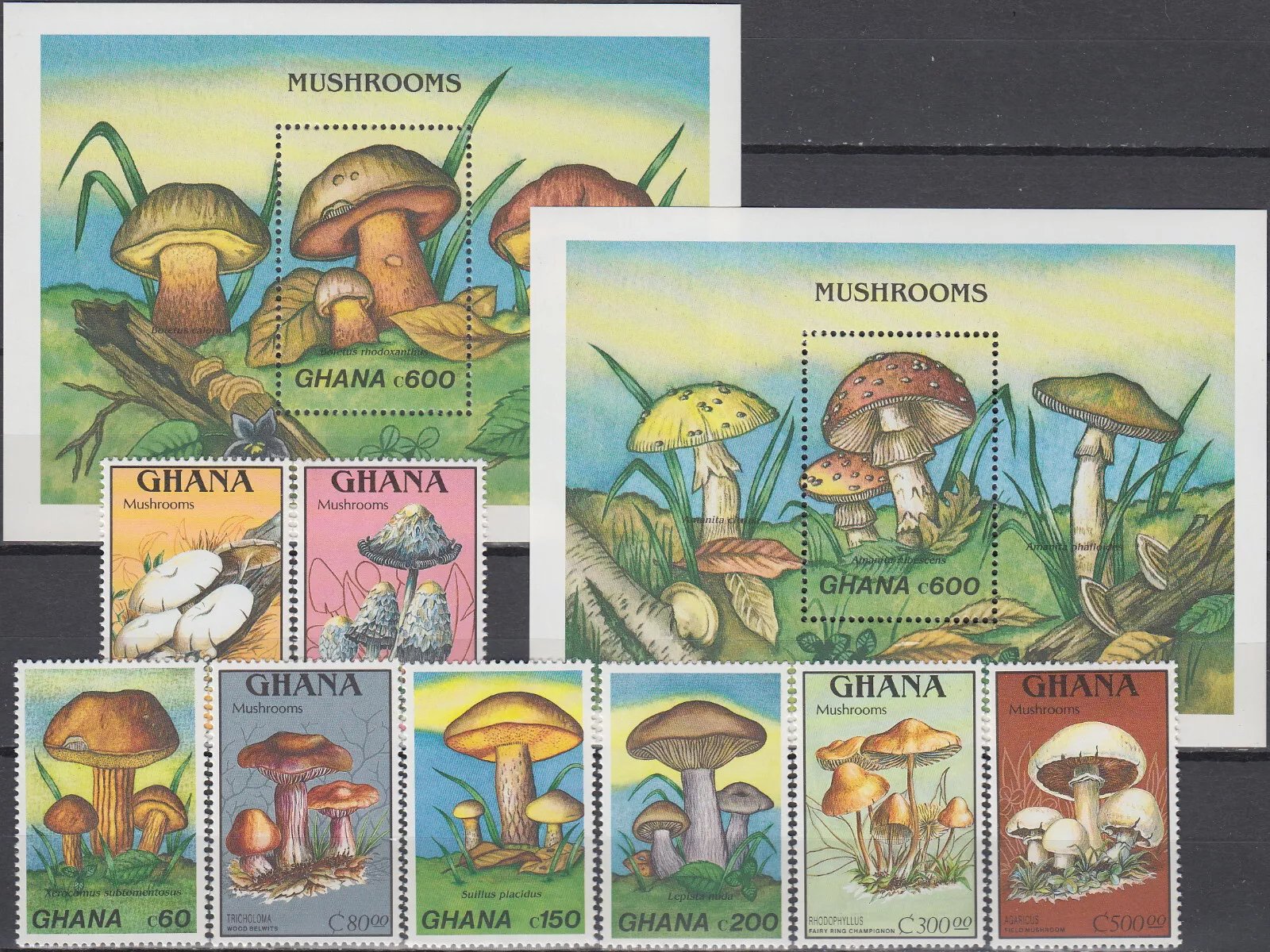 Ghana 1989 - Ciuperci, serie+colite neuzate