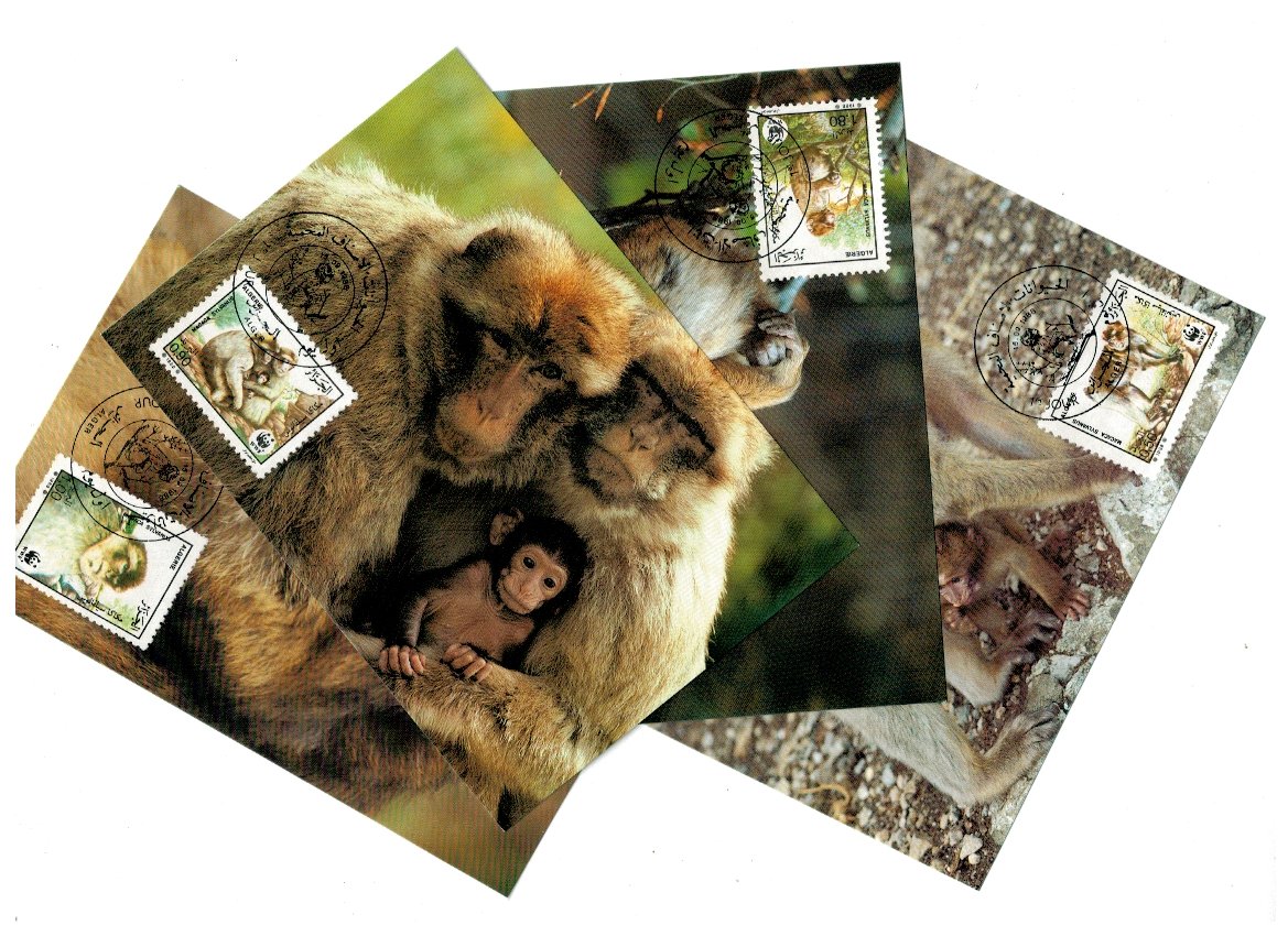 Algeria 1988 - Fauna WWF, serie maxime