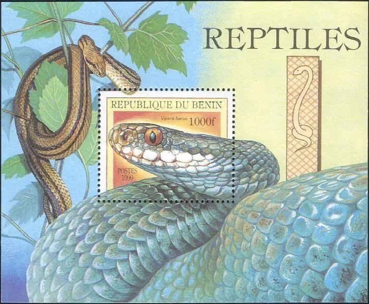 Benin 1999 - Reptile, serpi, colita neuzata