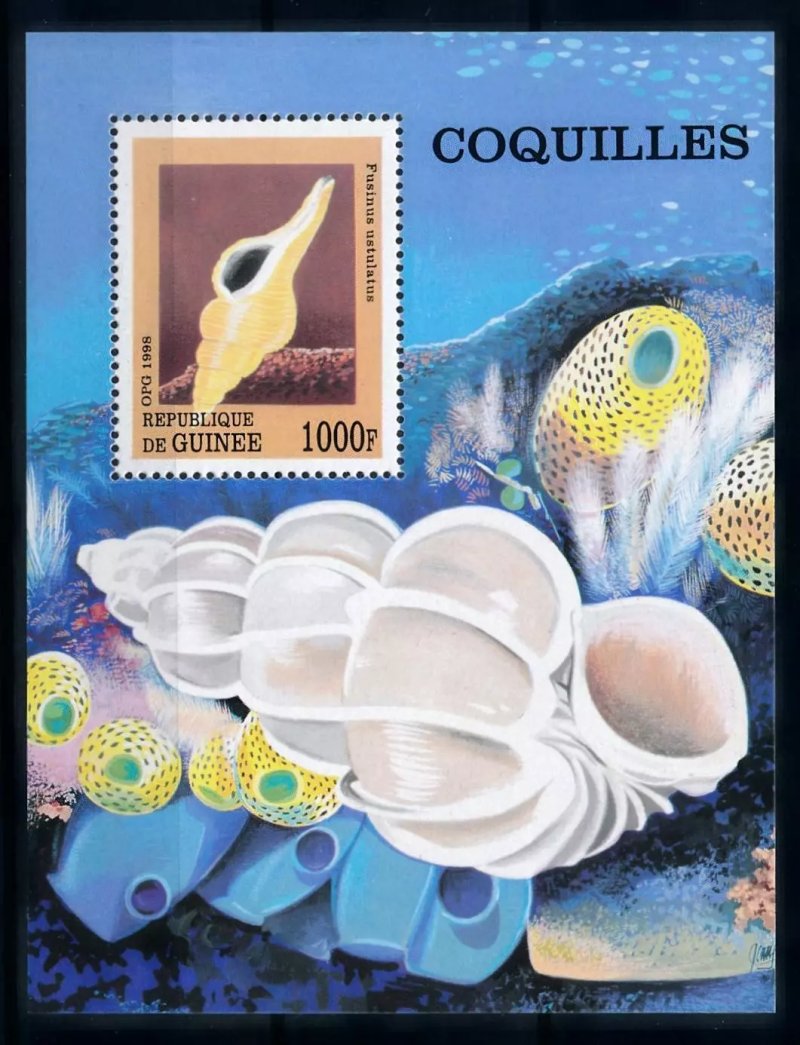 Guinea 1998 - Fauna marina, colita neuzata