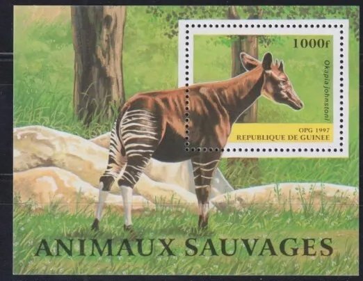 Guinea 1997 - Fauna, animale, colita neuzata