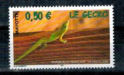 Mayotte 2003 - Gecko, fauna, neuzat