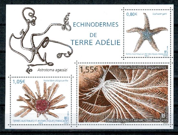 French South and Antarctic Terr. 2018 - Stea de mare, bloc neuza