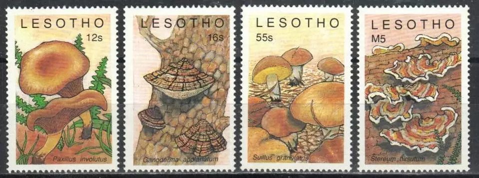 Lesotho 1989 - Ciuperci, serie neuzata