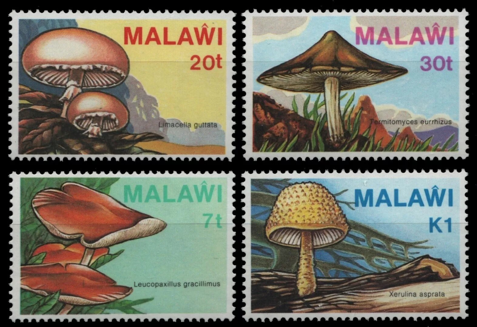 Malawi 1985 - Ciuperci, serie neuzata