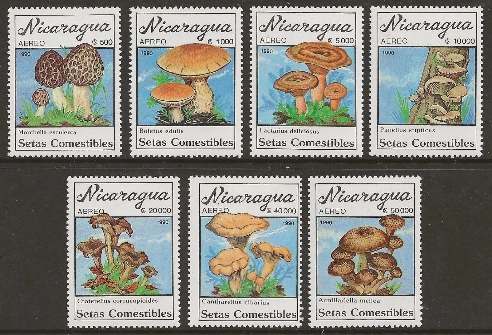 Nicaragua 1990 - Ciuperci, serie neuzata