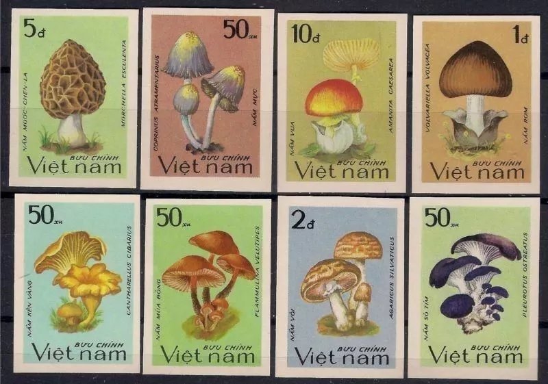 Vietnam 1983 - Ciuperci, serie ndt nestampilata