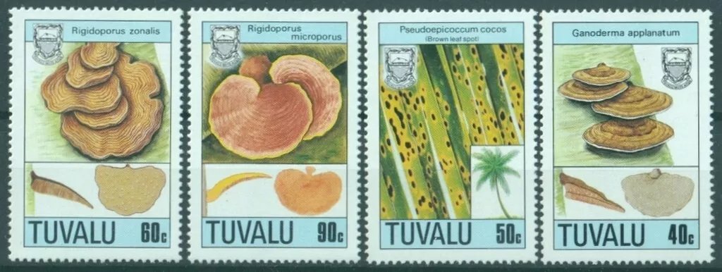 Tuvalu 1986 - Ciuperci, serie neuzata