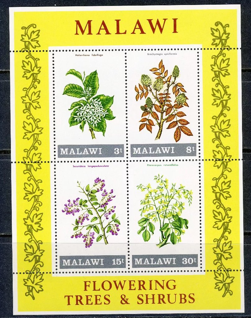 Malawi 1971 - Flori, flora, bloc neuzat