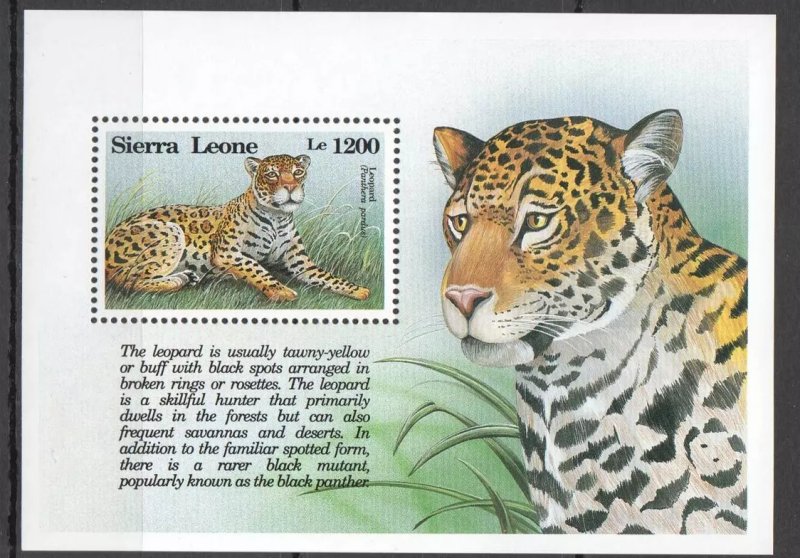 Sierra Leone 1993 - Fauna, leopard, colita neuzata