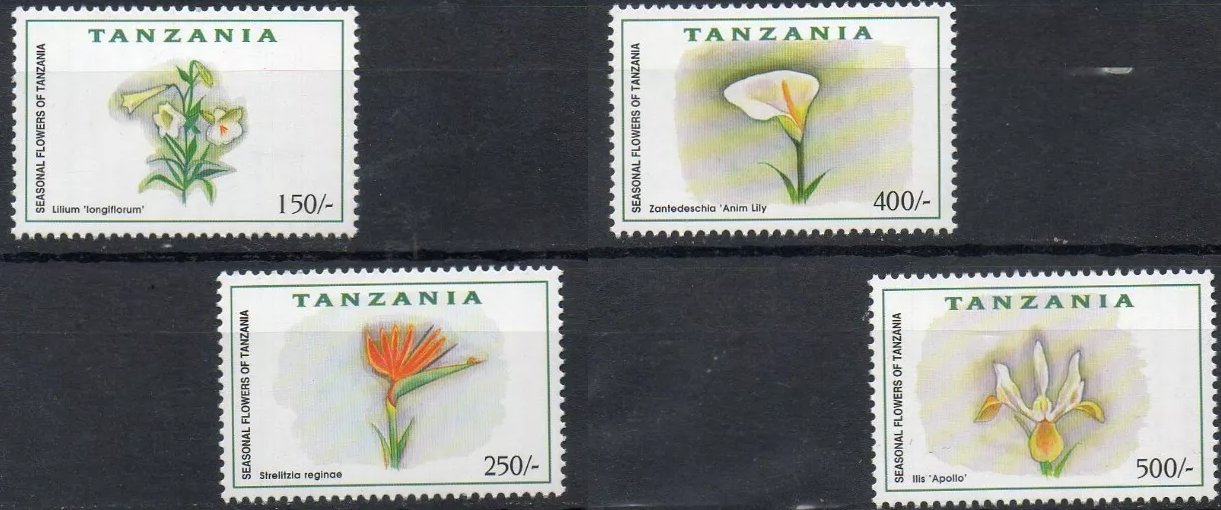 Tanzania 1999 - Flori, serie neuzata