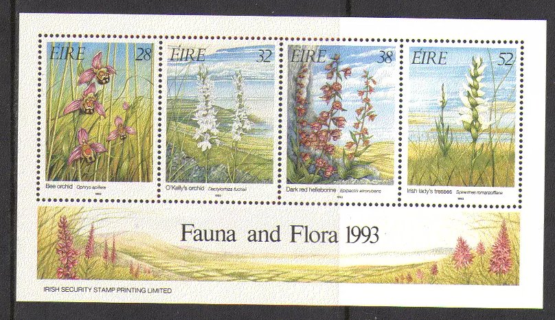 Irlanda 1993 - Flora, flori, bloc neuzat